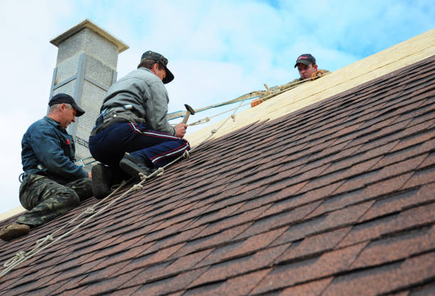 Best Storm Damage Roof Repair  in Logansport, IN